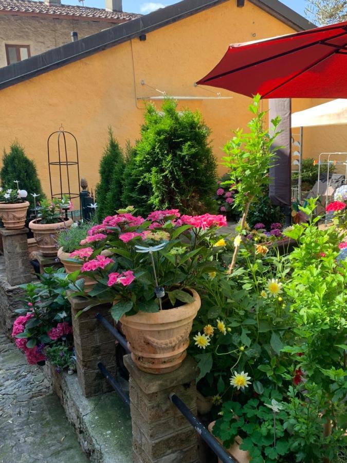 Ferienhaus, Rustico Auf Burg Locarno Ngoại thất bức ảnh